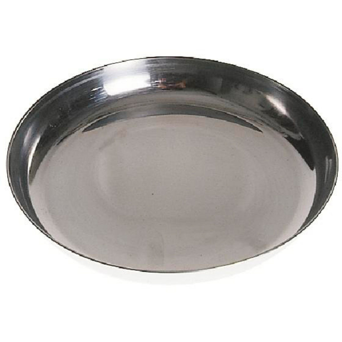 Large Plate