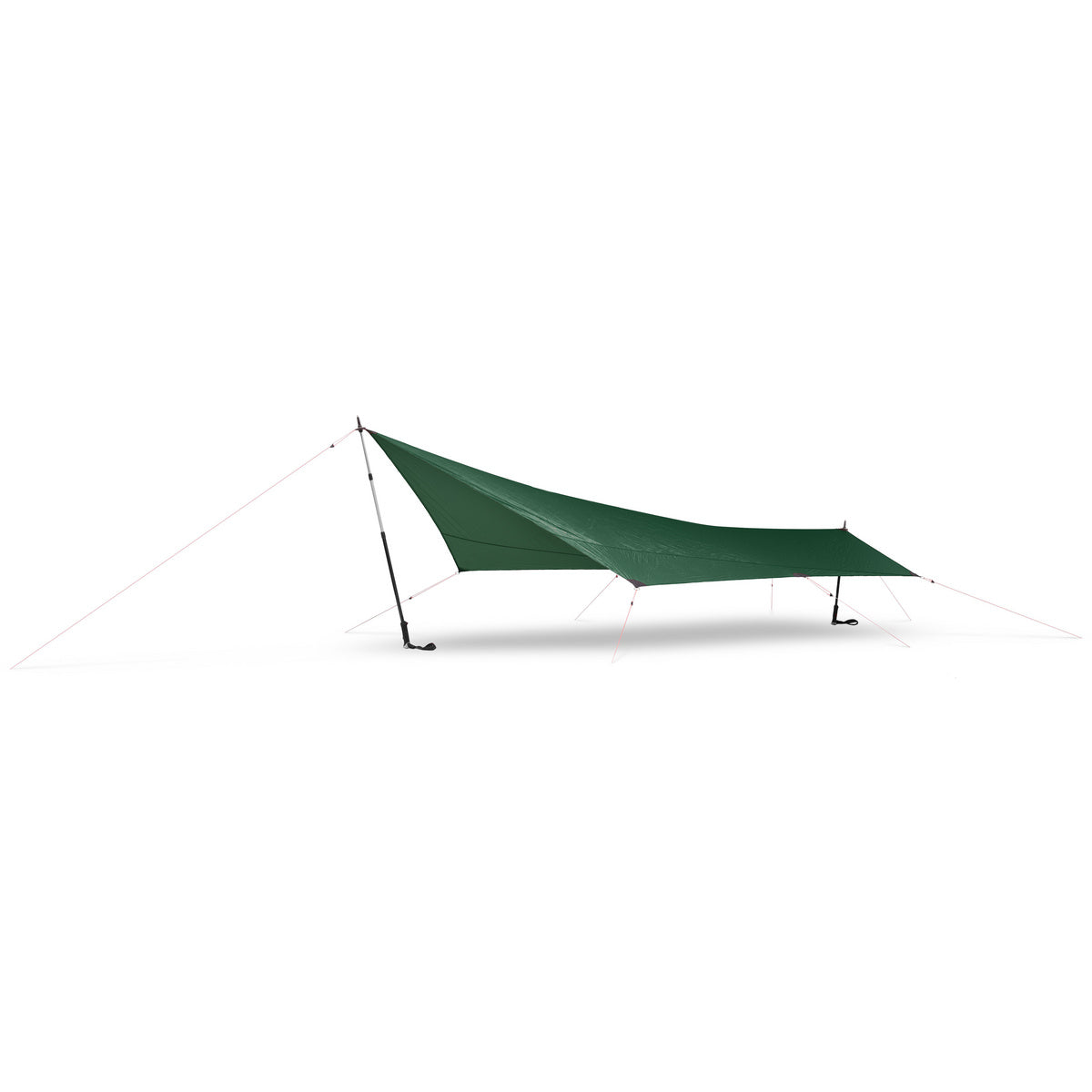 Tarp 5