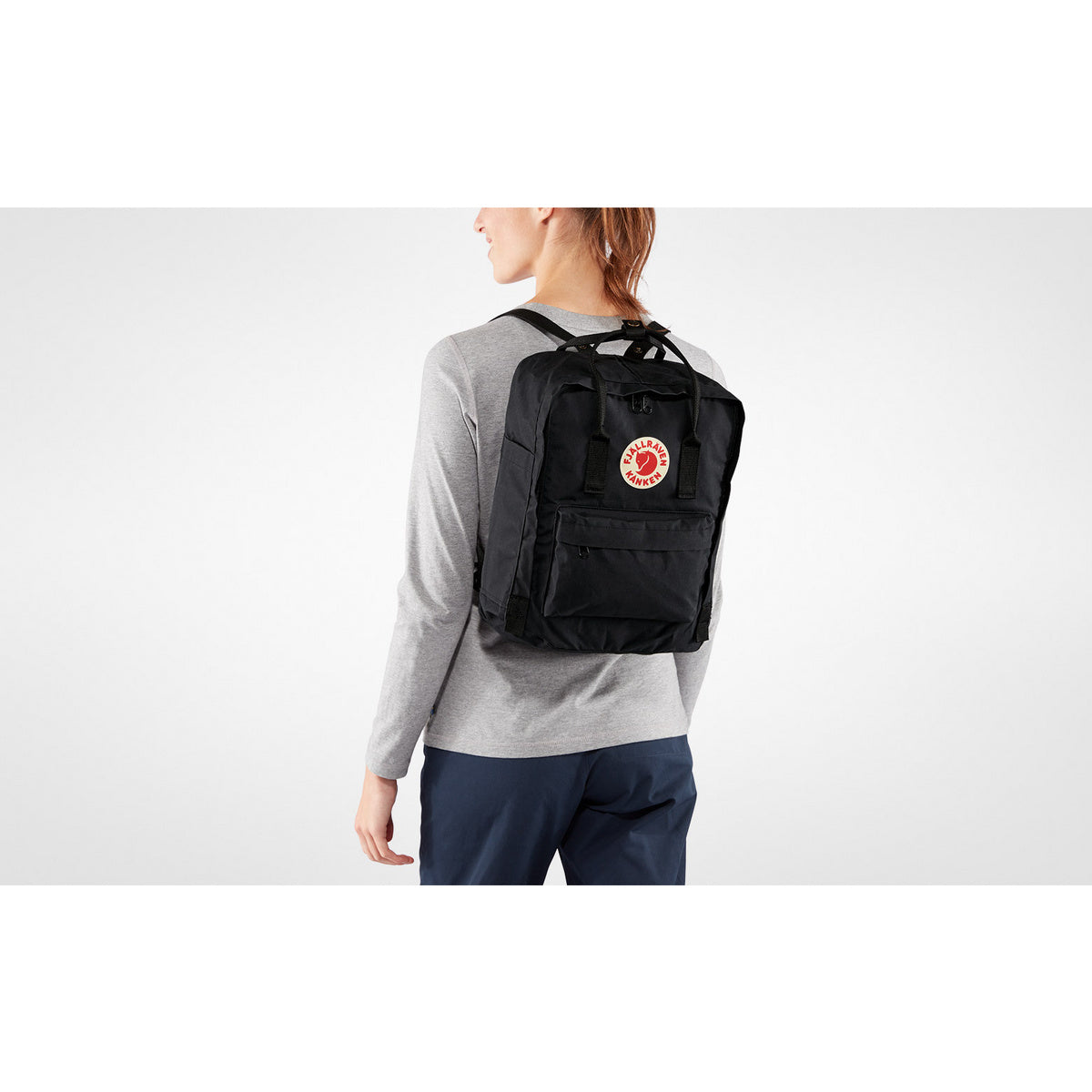 {"assetId":1611256,"assetVersion":0,"exportFormatId":"c245"}