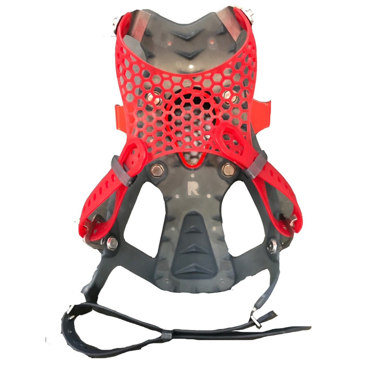 Binding Ascent Paragon 19 Wms R
