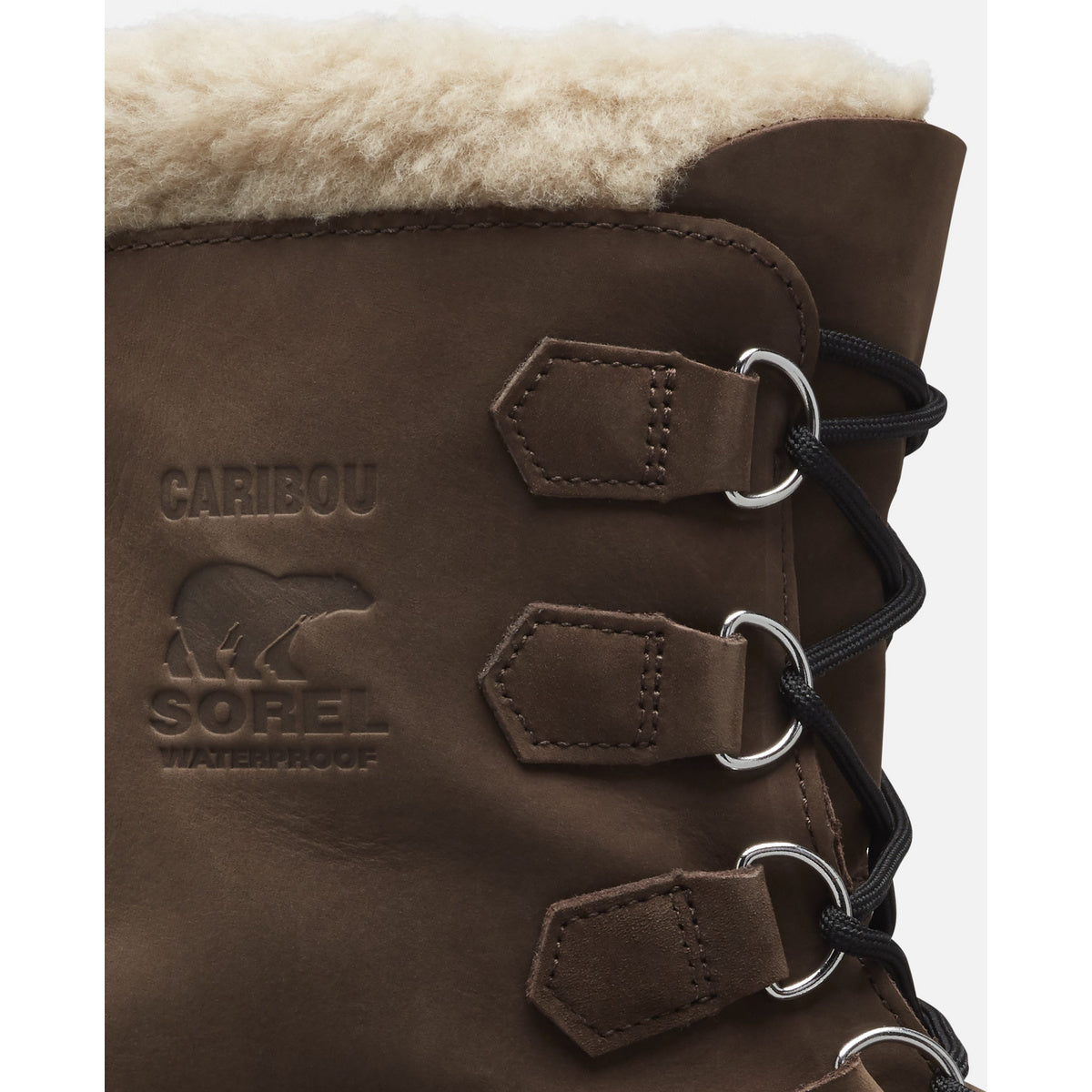 M Caribou WP