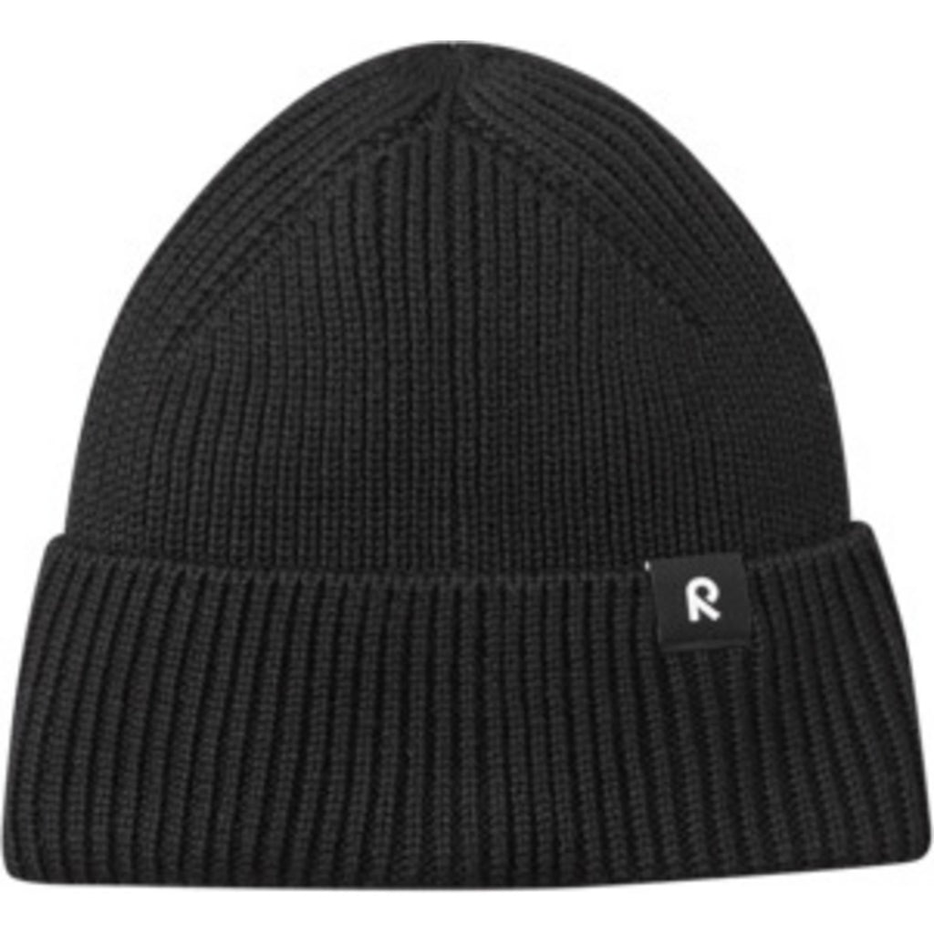 Reissari