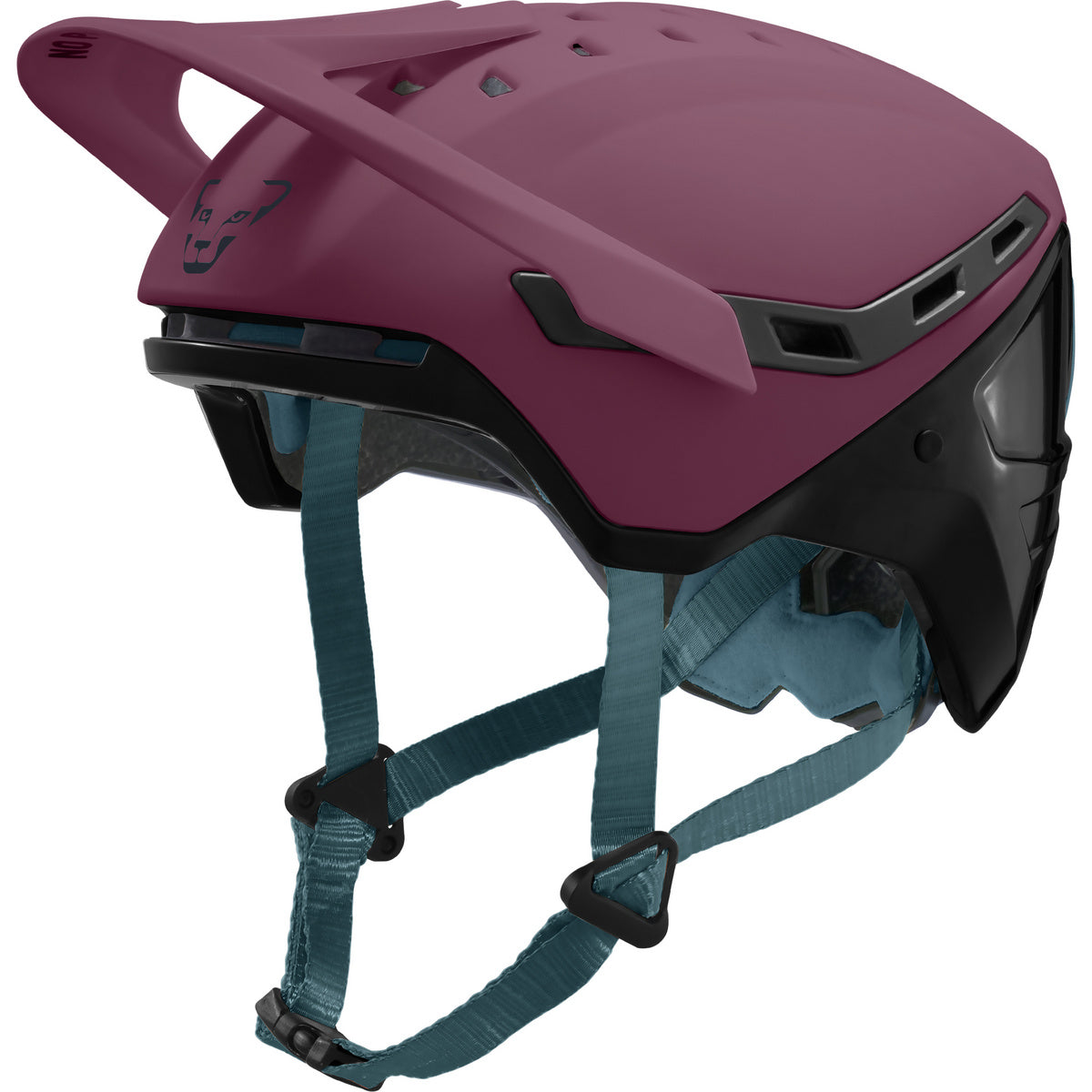 TLT Helmet