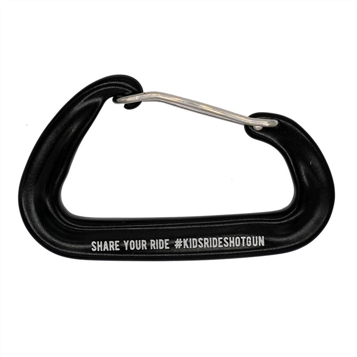 Carabiner Replacement