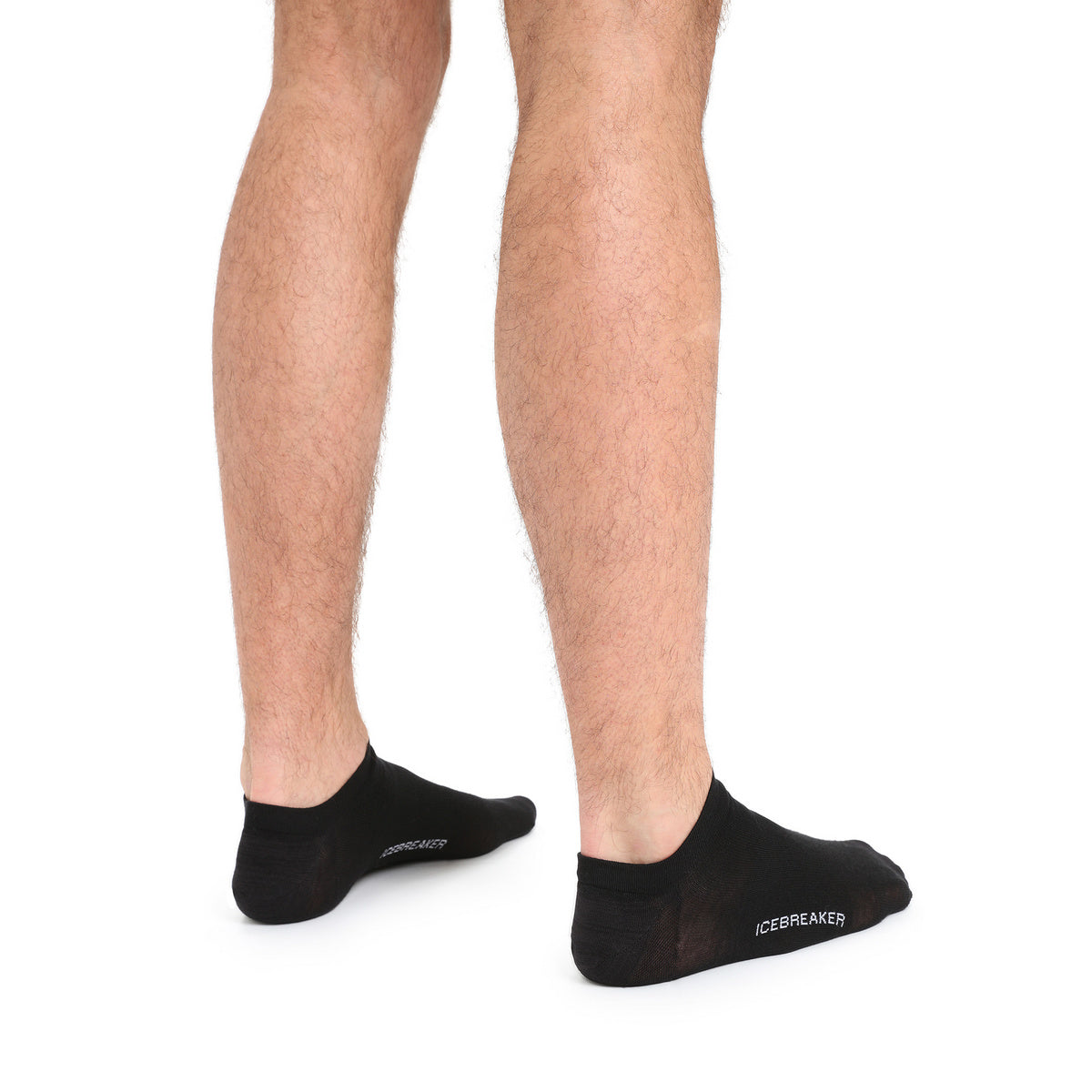 Men Merino Lifestyle Fine Gauge No Show