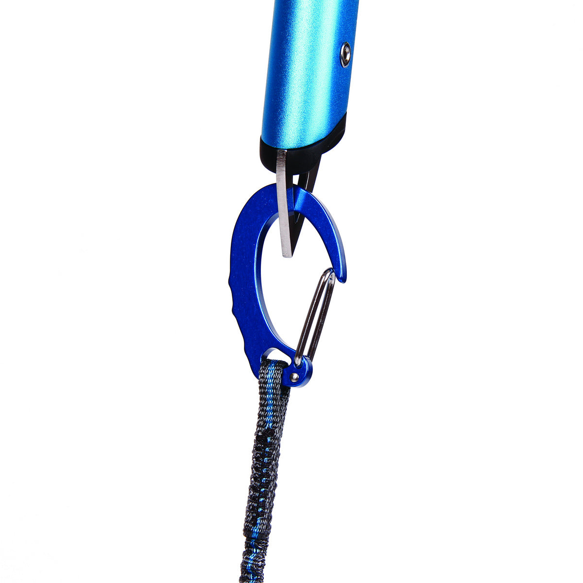 Hydra Leash