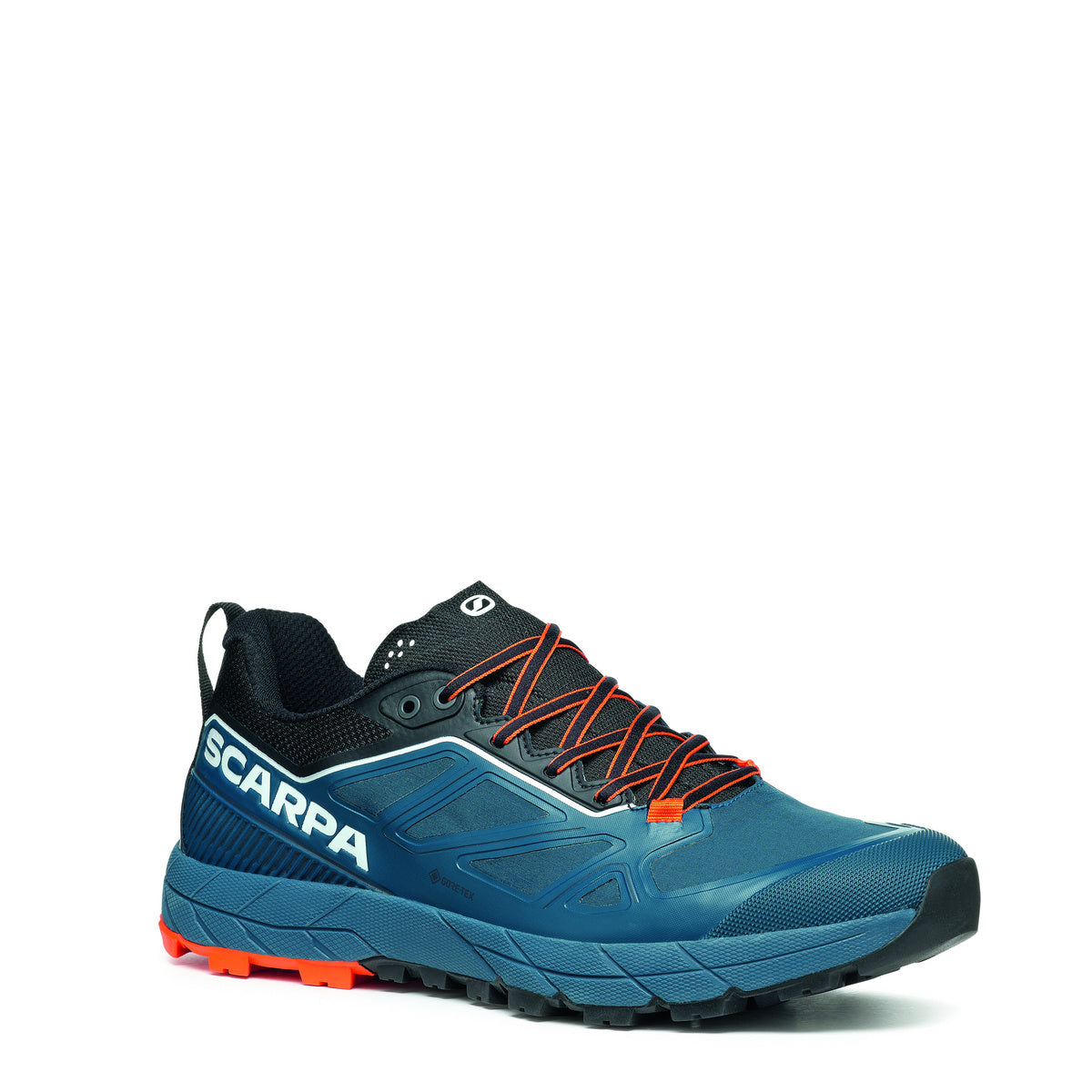 Rapid GTX
