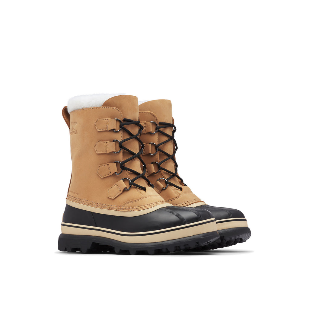 M Caribou WP