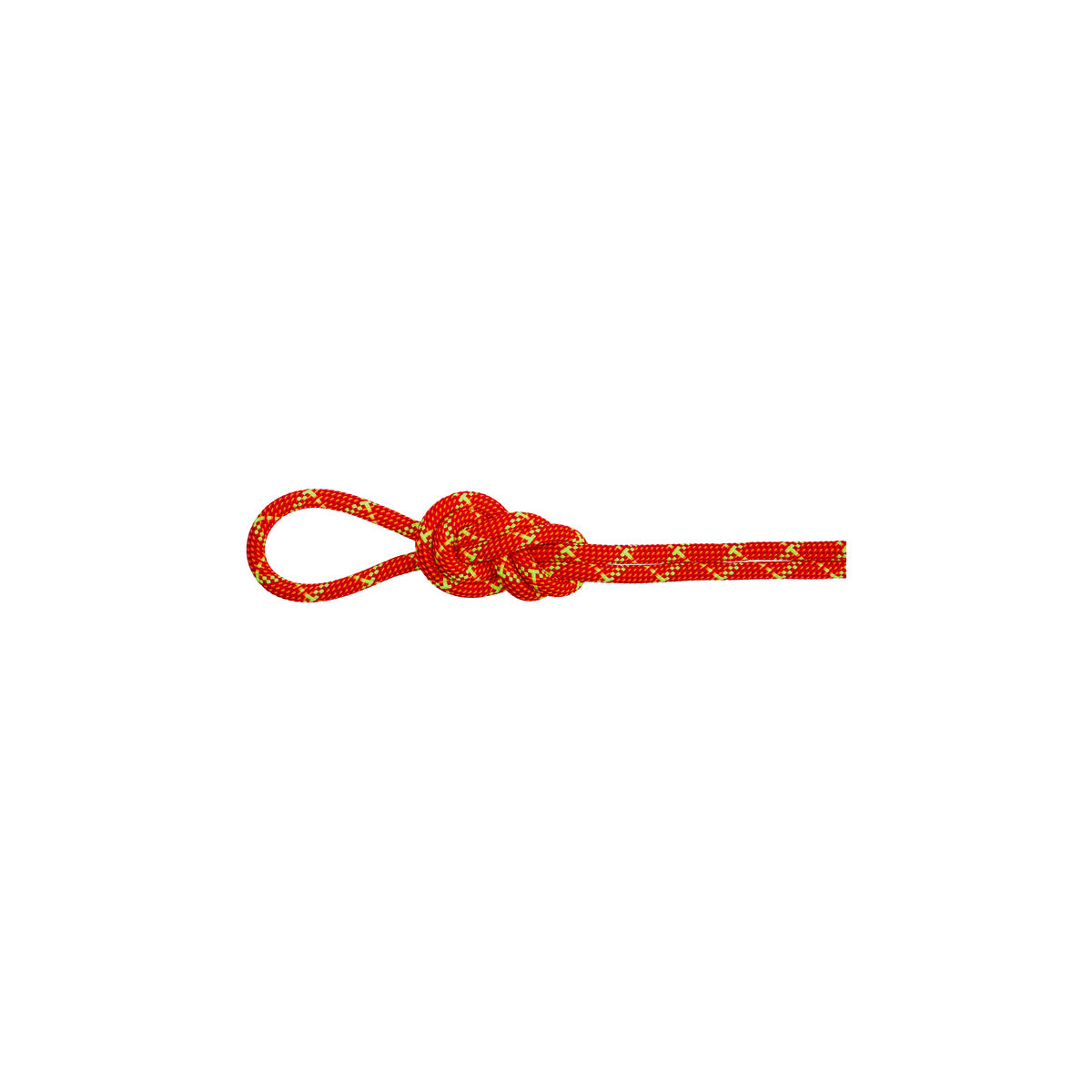 8.0 Alpine Core Protect Dry Rope