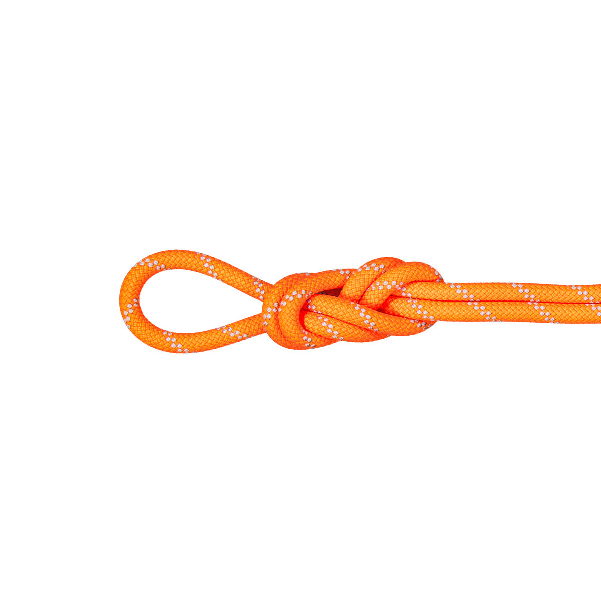 9.5 Alpine Dry Rope
