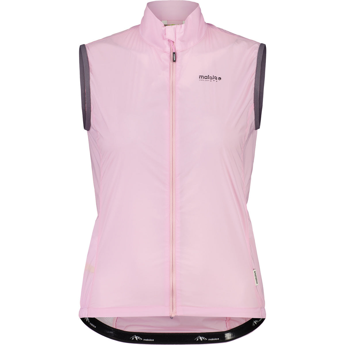 SeisM. Vest