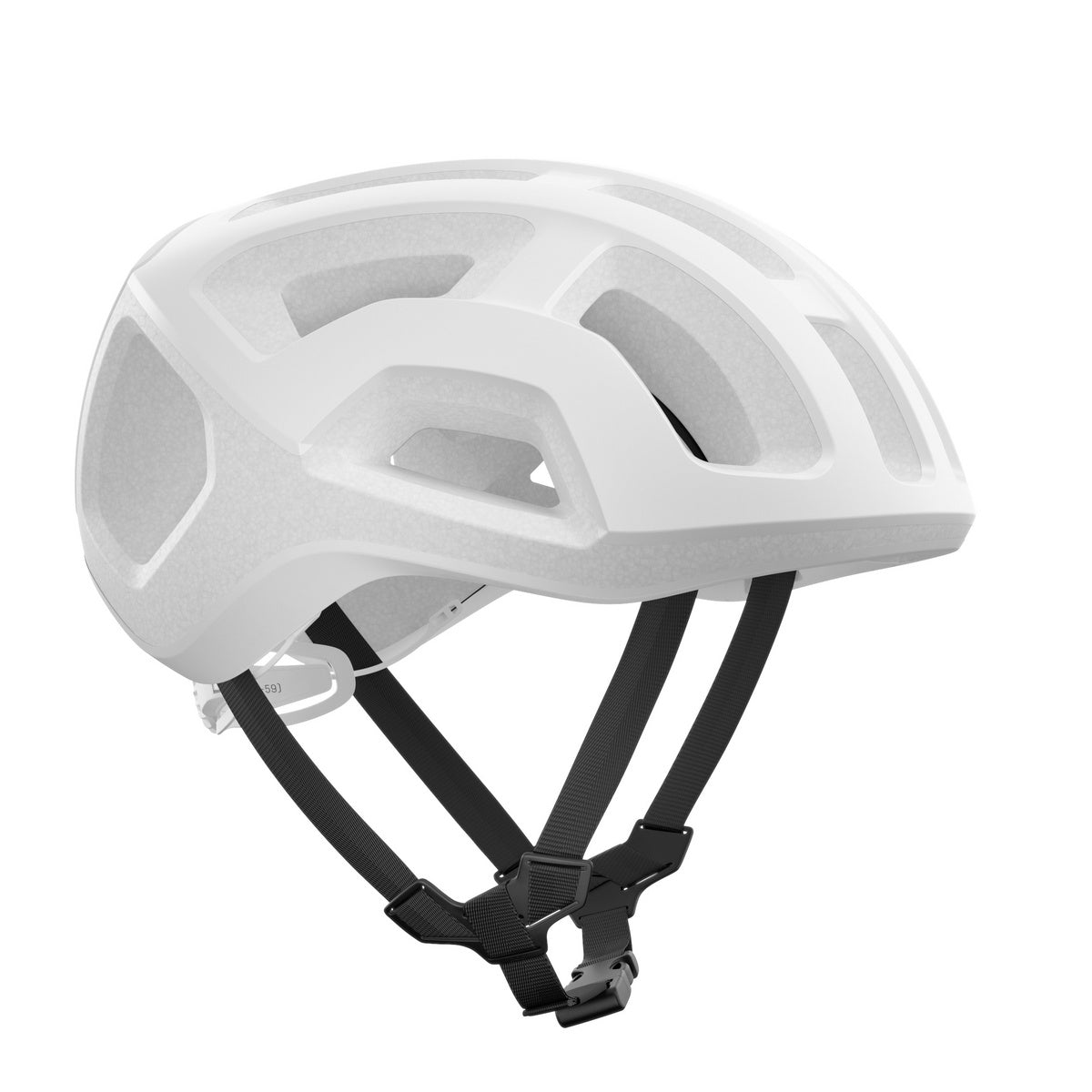 Ventral Lite
