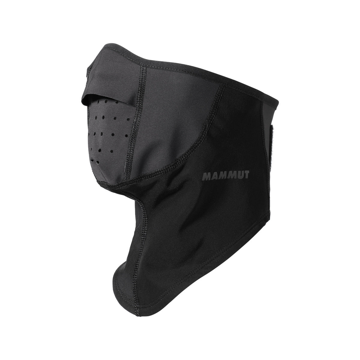 Mask Arctic WS
