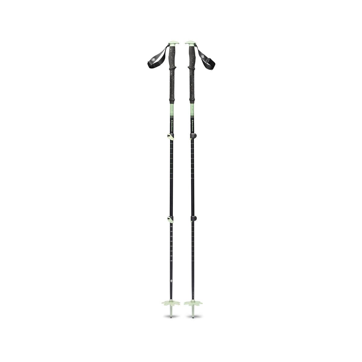 Expedition 3P Ski Poles
