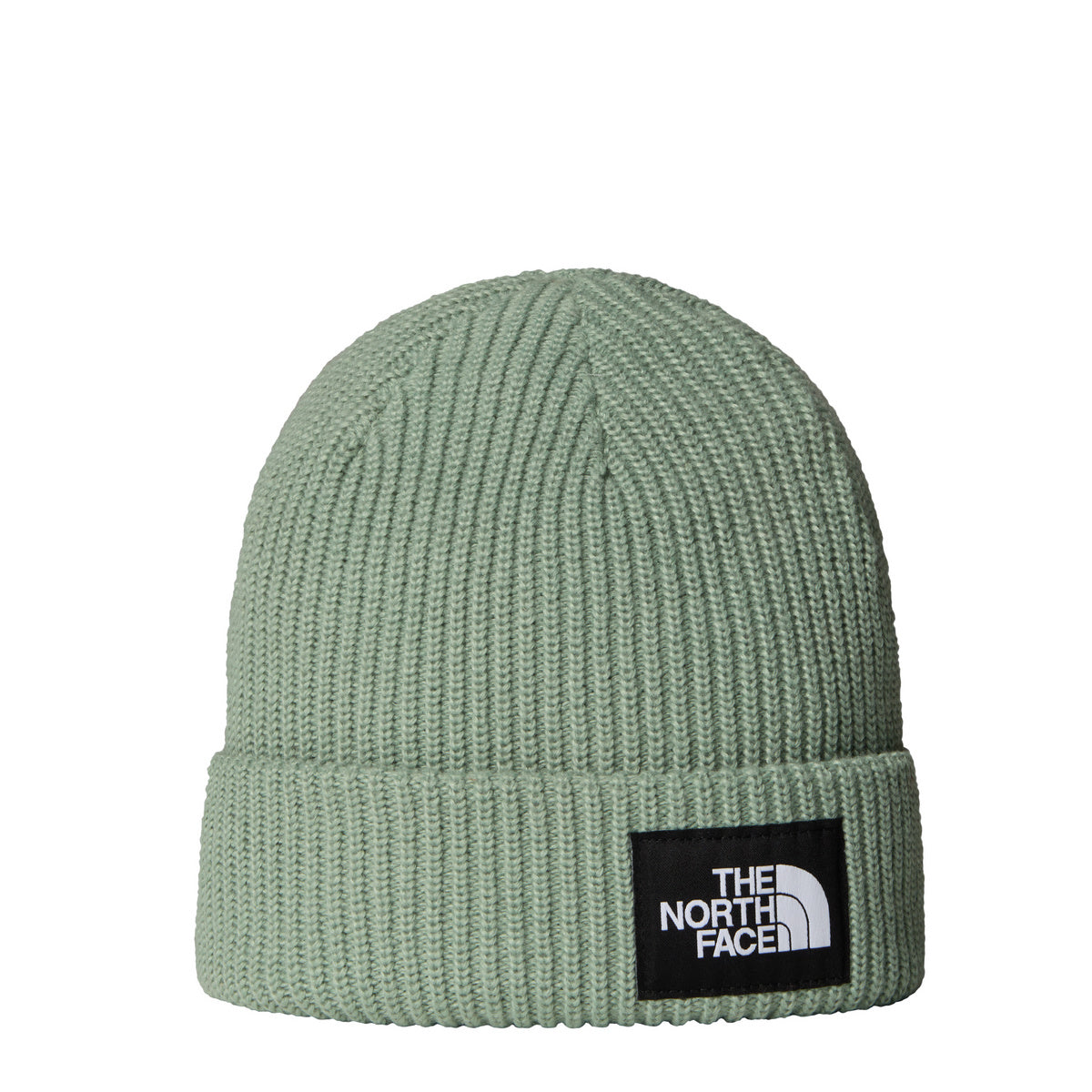Salty Lined Beanie