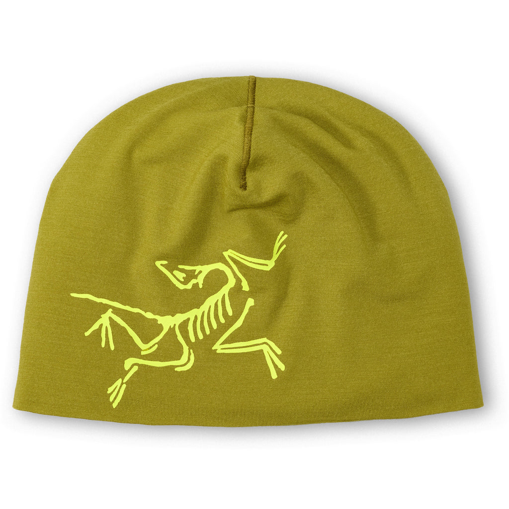 Satoro Merino Toque
