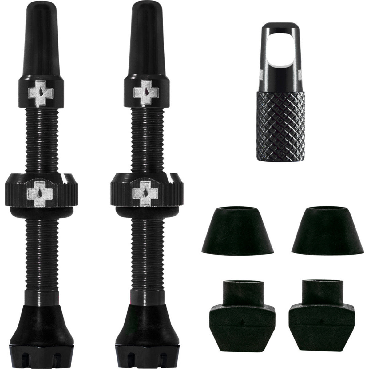 V2 Tubeless Valve Kit