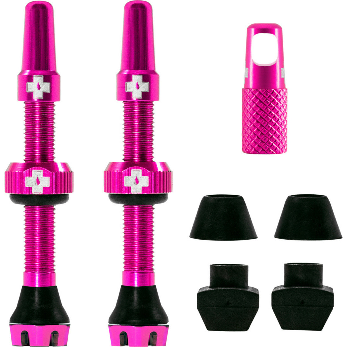 V2 Tubeless Valve Kit