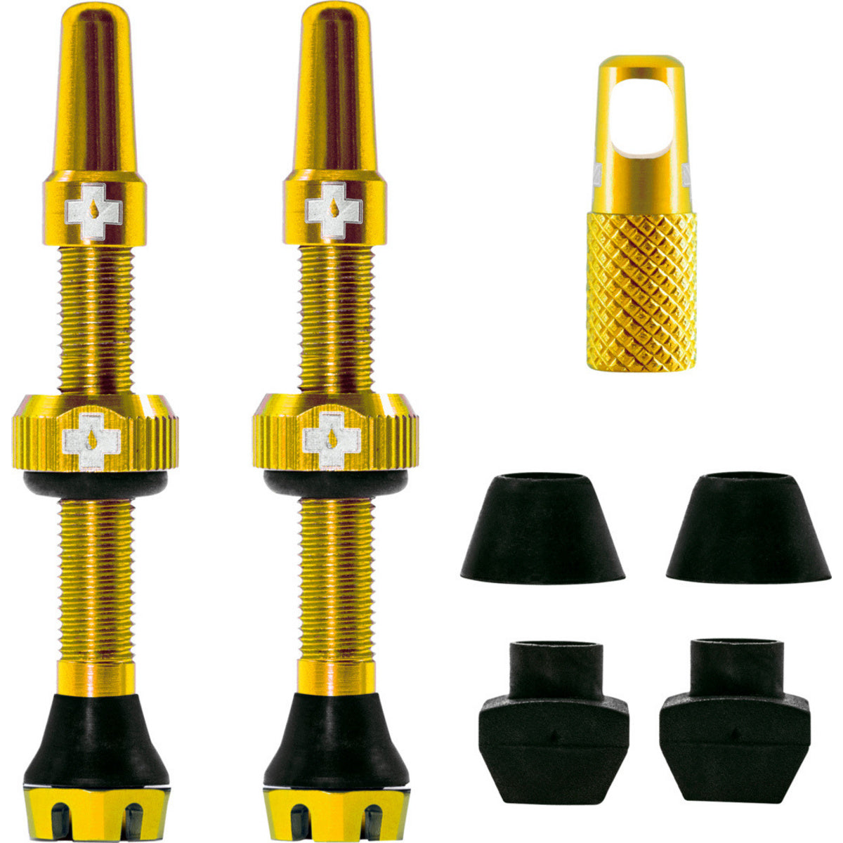 V2 Tubeless Valve Kit