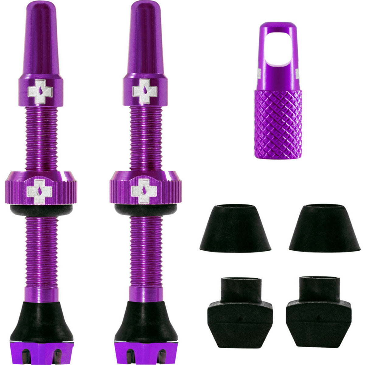 V2 Tubeless Valve Kit