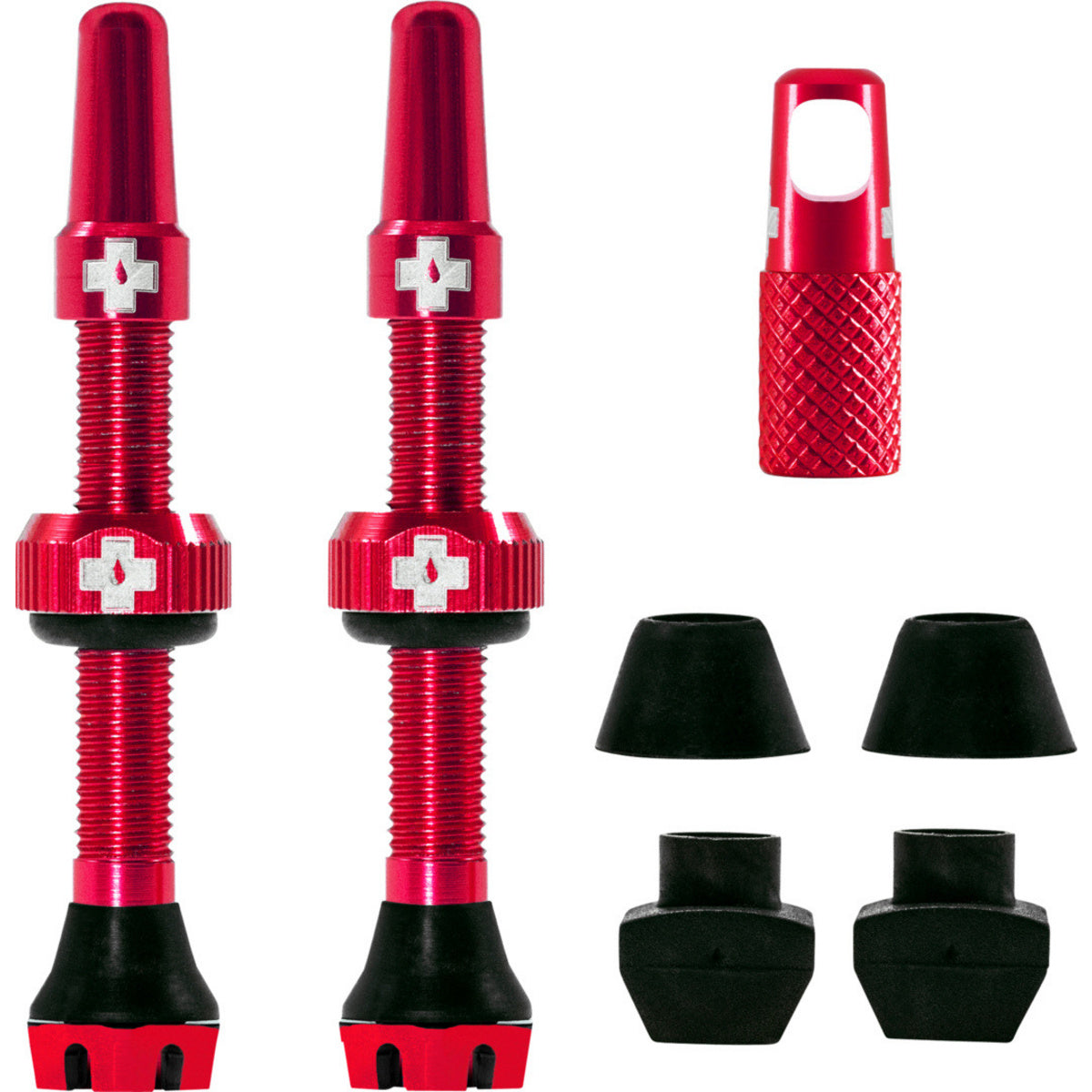V2 Tubeless Valve Kit