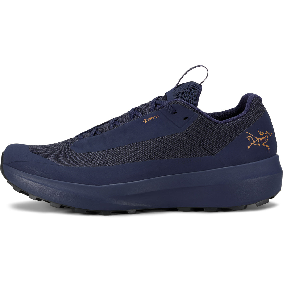 Norvan LD 4 GTX Men
