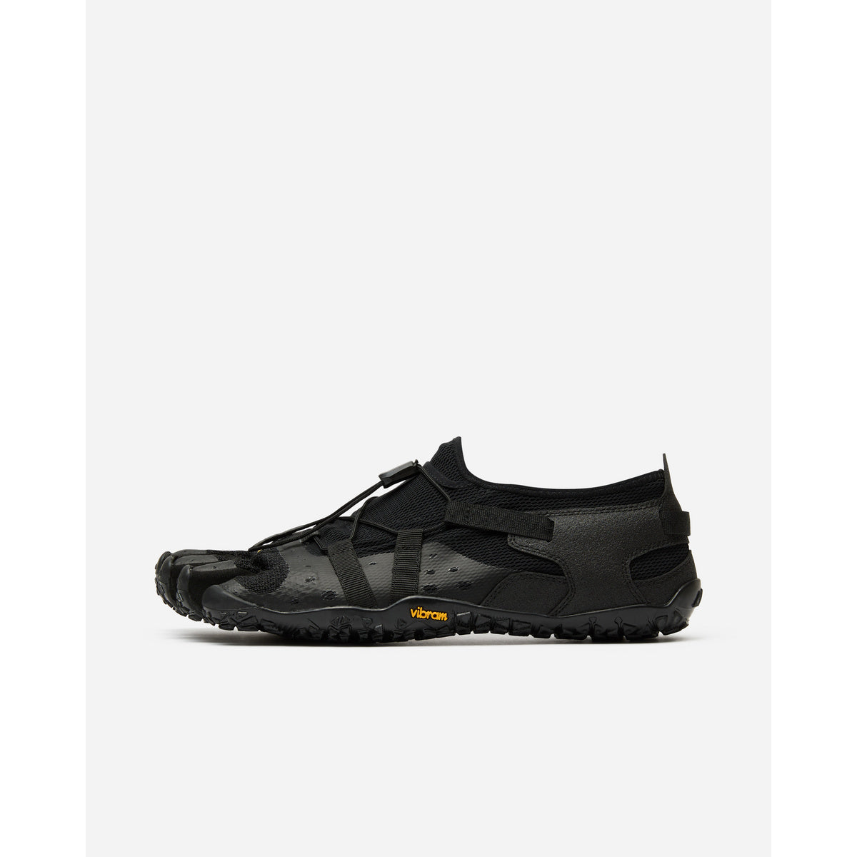 Spidrwalk M